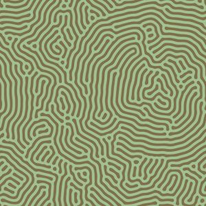 AS foto tapeta - Walls by Patel 3 - Sahel 1