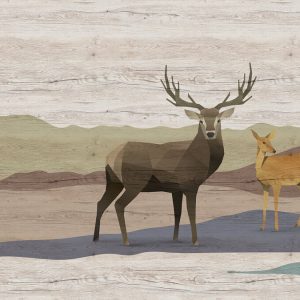 AS foto tapeta - Walls by Patel 3 - Yukon 2