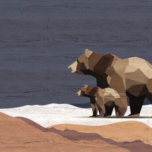 AS foto tapeta - Walls by Patel 3 - Yukon 3