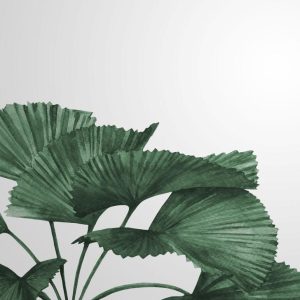 Alternative view of Foto tapeta Designwalls 2 - TropicalLeaves(Tropsko Listje)