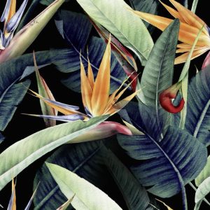 Foto tapeta Designwalls 2 - Rainforest    (Deževni Gozd)