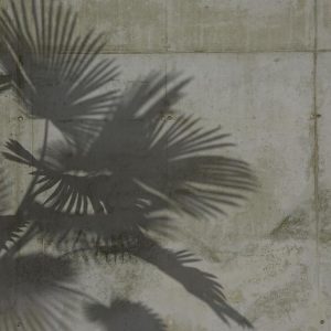 Foto tapeta Designwalls 2 - ShadeOfPalm2  (Senca Palme2)