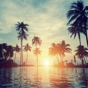 Alternative view of Foto tapeta Designwalls 2 - Sunset&Palms  (Sončni Zahod In Palme)