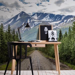 Foto tapeta Designwalls 2 - MountainRoad  (Gorska Cesta)