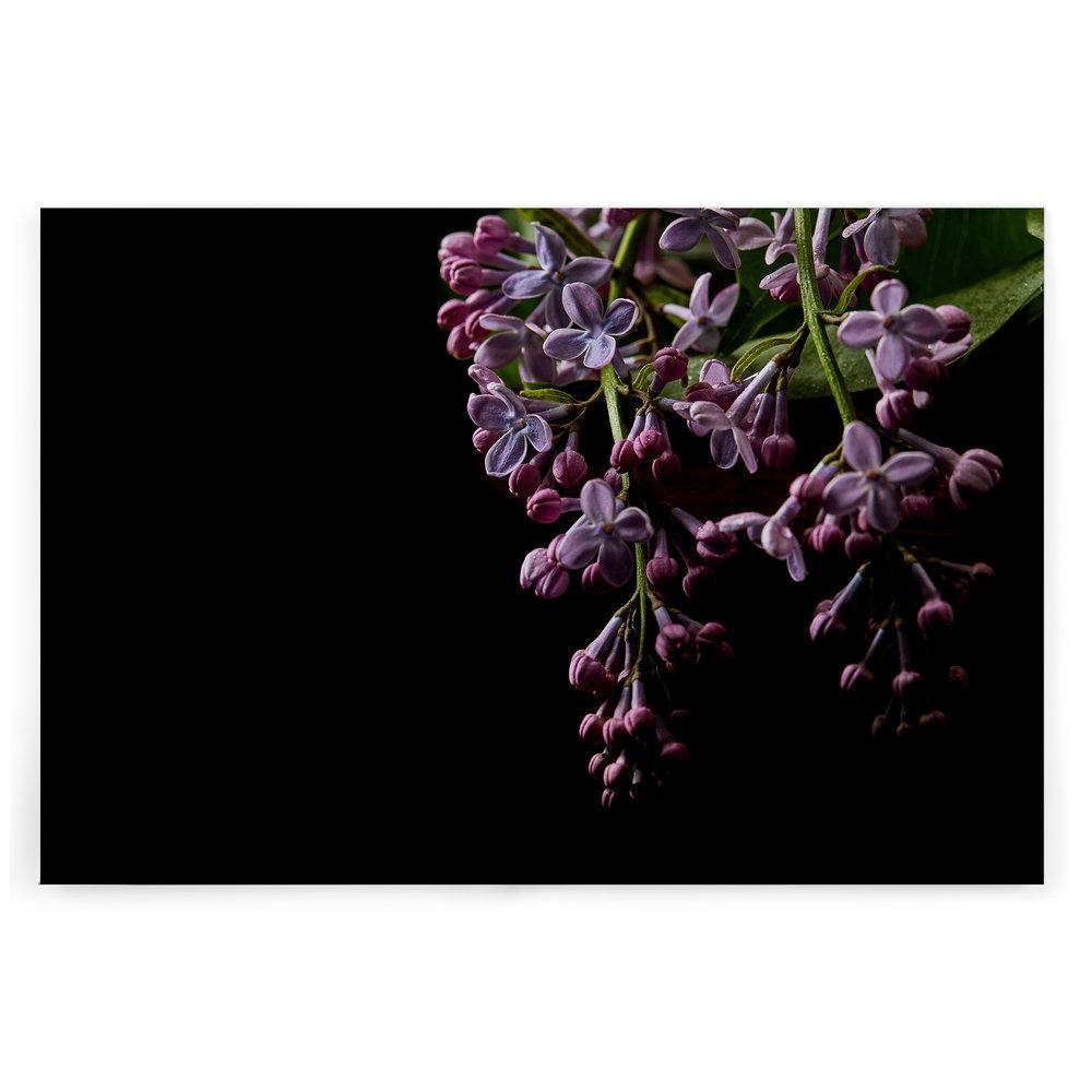 Slika na platnu Designwalls 2 - DarkFlowers1 (Temne Rože1)
