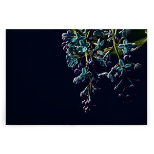 Slika na platnu Designwalls 2 - DarkFlowers2  (Temne Rože2)