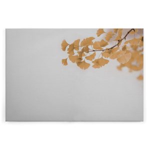 Slika na platnu Designwalls 2 - Ginkgo2       (Ginkgo2)
