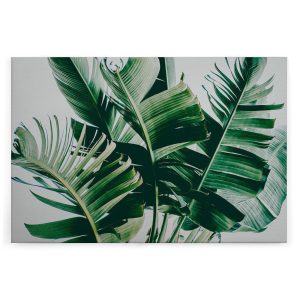 Slika na platnu Designwalls 2 - PalmFronds1   (Palmovi Listi1)