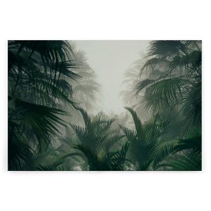 Slika na platnu Designwalls 2 - PalmForest    (Gozd)