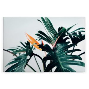 Slika na platnu Designwalls 2 - PalmDeatil    (Detailna Palma)