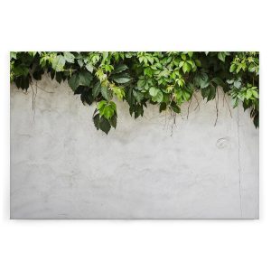 Slika na platnu Designwalls 2 - PlantOnWall   (Rastlina Na Zidu)