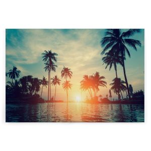 Slika na platnu Designwalls 2 - Sunset&Palms  (Sončni Zahod In Palme)