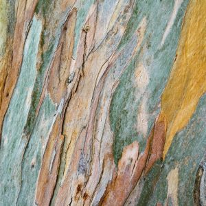 RASCH fototapeta  - Magic Walls 101096R - 3,72 x 2,8 m