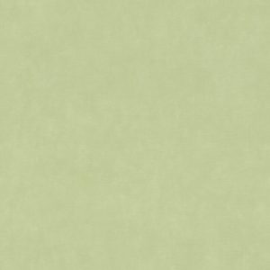 RASCH tapeta  - Paraiso 330052R