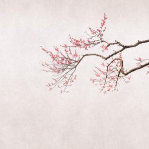 RASCH fototapeta  - Magic Walls 361070R - 2,65 x 2,65 m