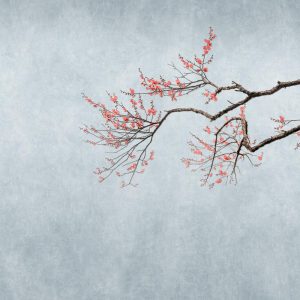 RASCH fototapeta  - Magic Walls 361094R - 2,65 x 2,65 m