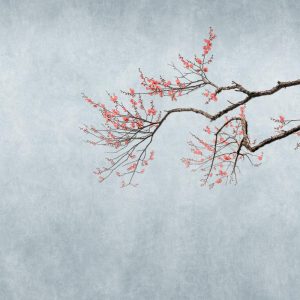 RASCH fototapeta  - Magic Walls 362800R - 2,65 x 3 m