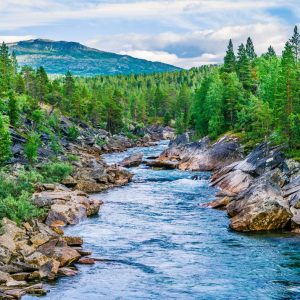 RASCH fototapeta  - Magic Walls 363272R - 3,71 x 2,65 m