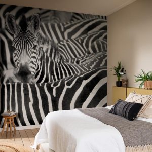 Alternative view of RASCH fototapeta  - African Queen III 363609R