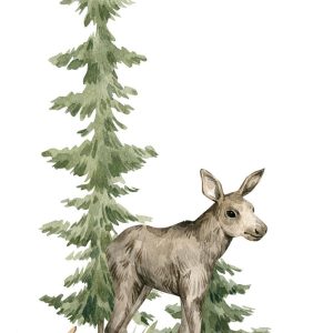 RASCH tapeta  - Kids World 365009R