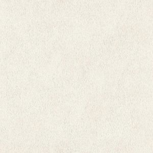 RASCH tapeta  - African Queen III 423204R