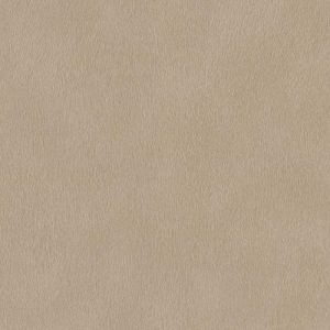 RASCH tapeta  - African Queen III 751055R