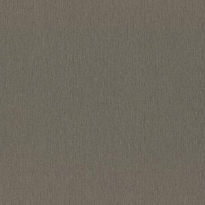 RASCH tapeta  - Ascona 979305R