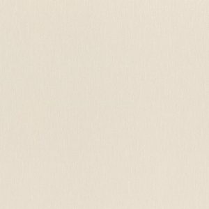 RASCH tapeta  - Ascona 979343R