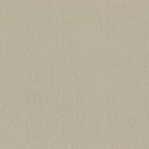 RASCH tapeta  - Ascona 979381R