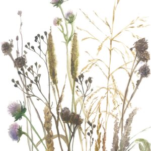 MARBURG tapeta  - Boho 35799M