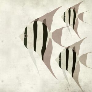 AS foto tapeta - Walls by Patel 5 - Trio