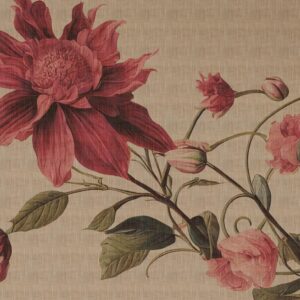 AS foto tapeta - Walls by Patel 5 - Floralia4