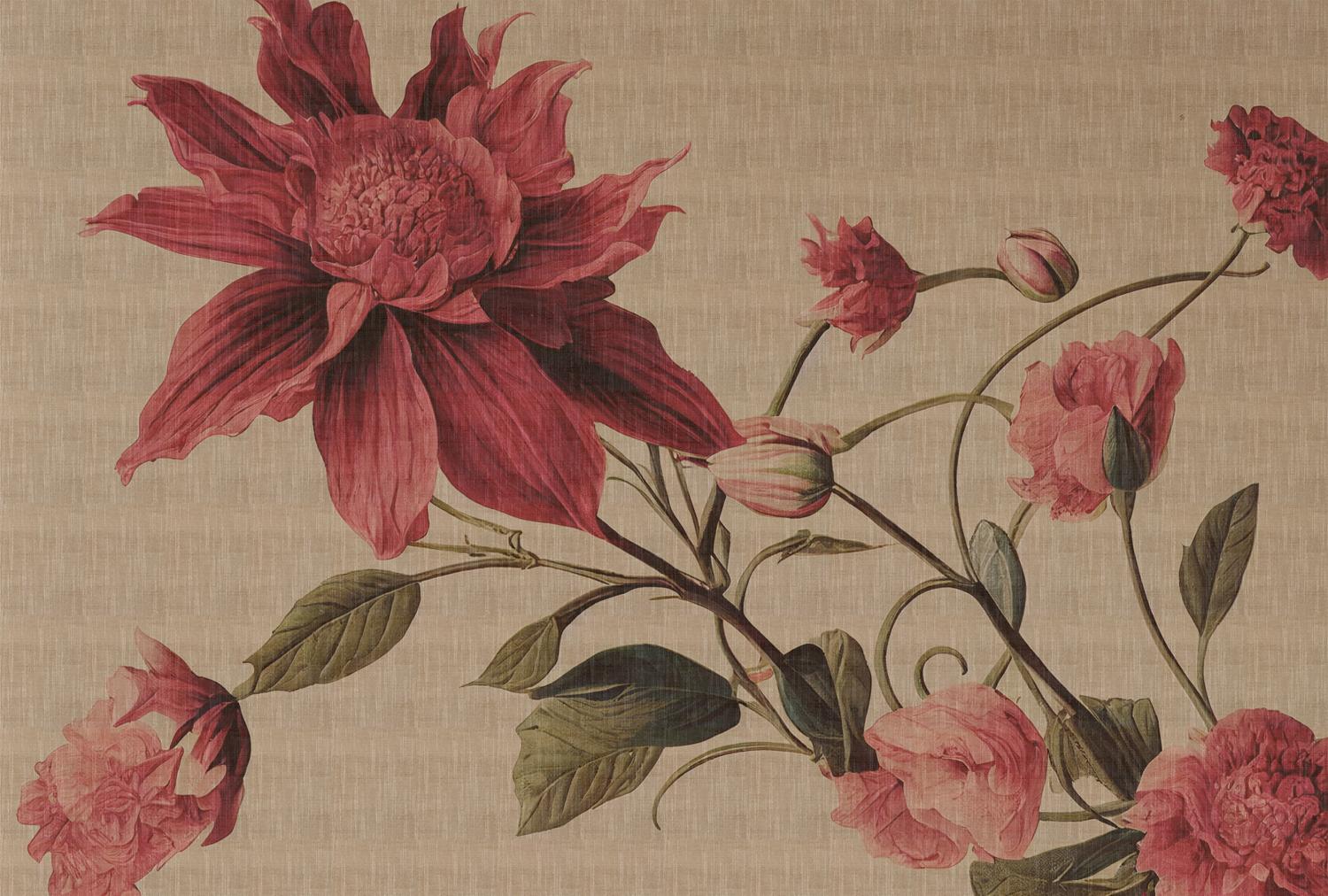 AS foto tapeta - Walls by Patel 5 - Floralia4