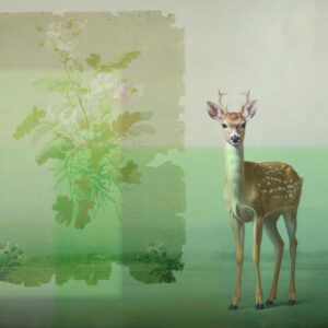 AS foto tapeta - Walls by Patel 5 - Pixi2