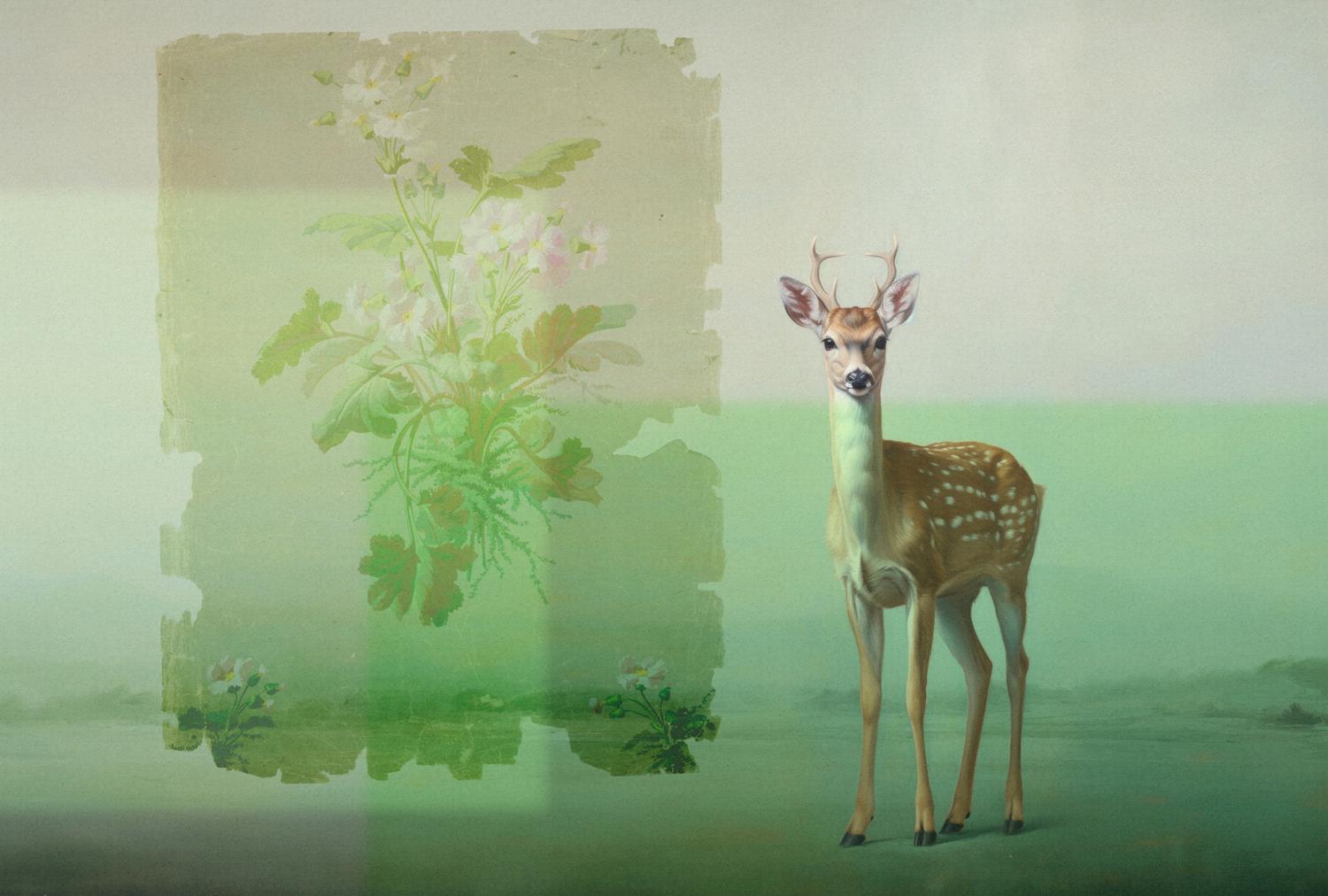 AS foto tapeta - Walls by Patel 5 - Pixi2