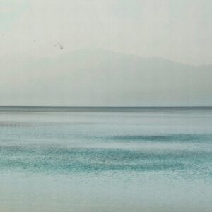 AS foto tapeta - Walls by Patel 5 - Breeze