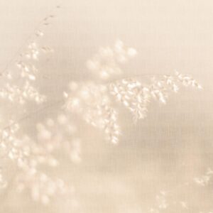 AS foto tapeta - Walls by Patel 5 - Soft meadow3