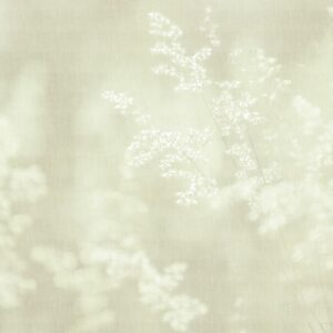 AS foto tapeta - Walls by Patel 5 - Soft meadow4
