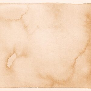 AS foto tapeta - Walls by Patel 5 - Whisper5