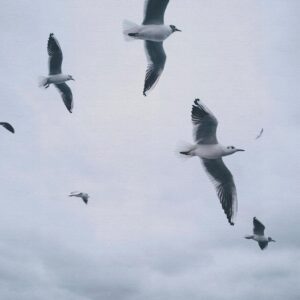 AS foto tapeta - Walls by Patel 5 - Follow me