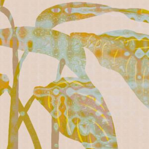 AS foto tapeta - Walls by Patel 5 - Flux1